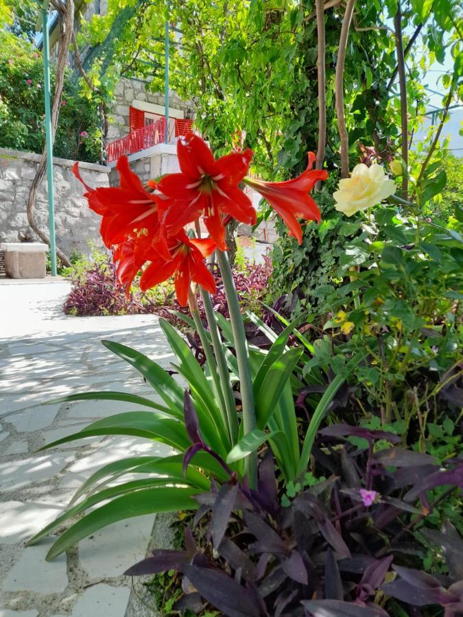 Villa Stone House In Buljarica Petrovac na moru Exterior foto