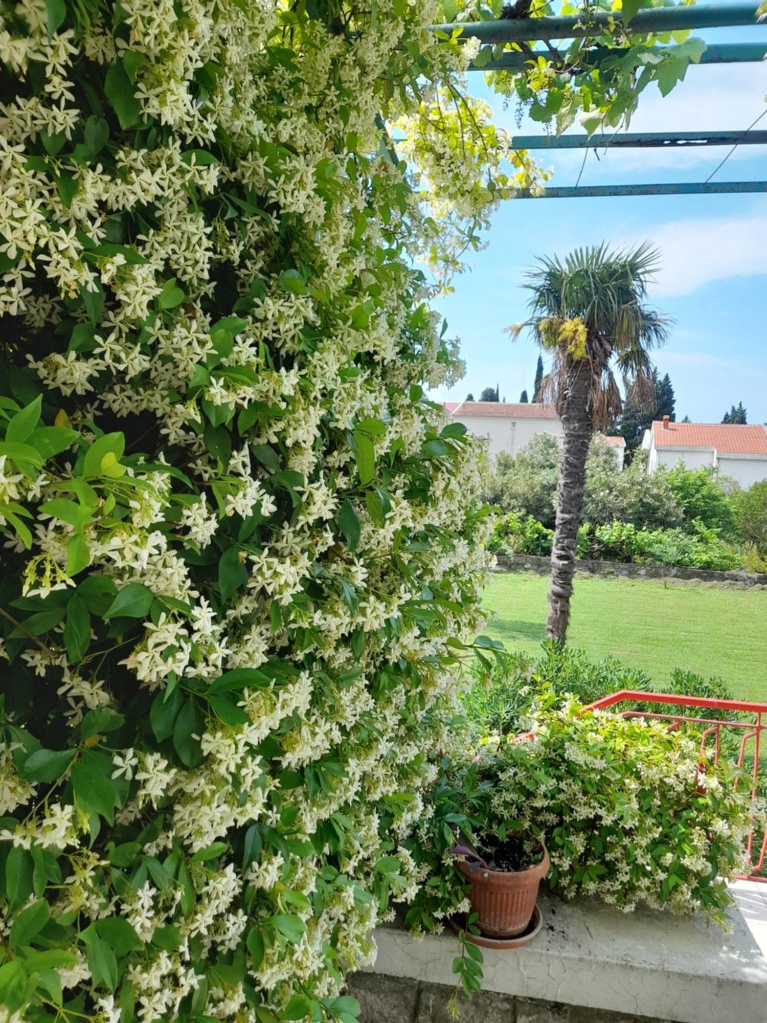 Villa Stone House In Buljarica Petrovac na moru Zimmer foto